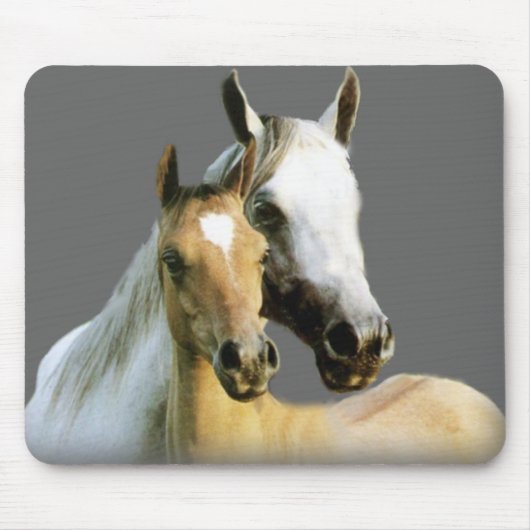 Horse Buddies Mousepad Muismat (Voorkant)