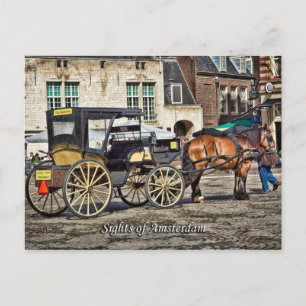 Horse Buggy Taxi, Sights of Amsterdam Briefkaart