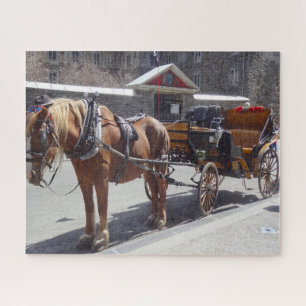 Horse Carriage Montreal. Jigzaag Puzzle Legpuzzel