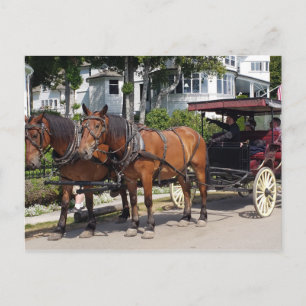 Horse & Carriage on Mackinac Island MI Briefkaart