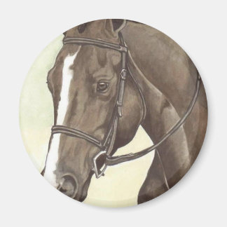 HORSE Champion Appendix QH Mare Magneet