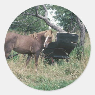 Horse Checking Old Buggy Ronde Sticker
