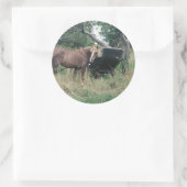 Horse Checking Old Buggy Ronde Sticker (Tas)