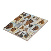 Horse Collage Tile Tegeltje (Zijkant)