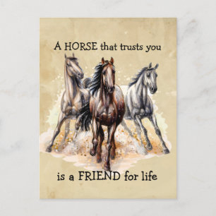 HORSE dat Trusts FRIEND voor het leven Citaat Briefkaart