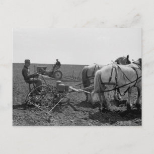 Horse-Drawn Corn Planter, 1940 Briefkaart