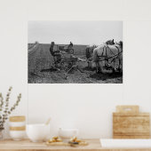 Horse-Drawn Corn Planter, 1940 Poster (Keuken)