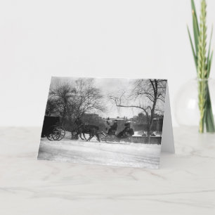 Horse Drawn Sleigh NYC Greeting Card Kaart
