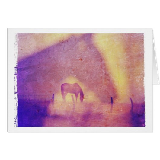 Horse dromen alle keren (Voorkant Horizontaal)