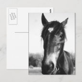 Horse, Dunwich, Angleterre - Carte postale (Devant / Derrière)