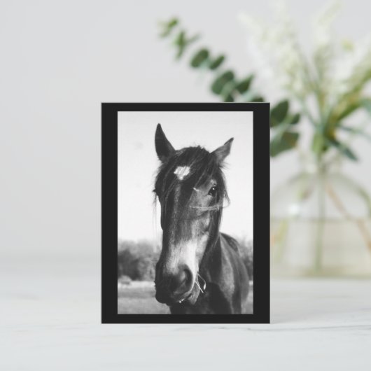 Horse, Dunwich, Engeland - Briefkaart (Staand voorkant)