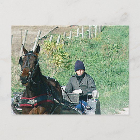 Horse en Buggy Briefkaart (Voorkant)