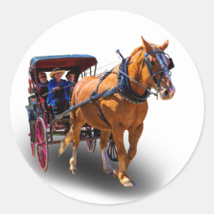 HORSE EN VERVOER RONDE STICKER