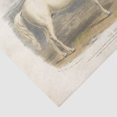 Horse Ephemera Decoupage Arabisch Tissuepapier (Detail)