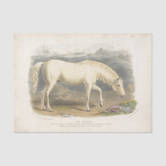 Horse Ephemera Decoupage Arabisch Tissuepapier (Voorkant)