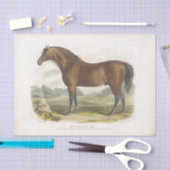 Horse Ephemera Decoupage Cleveland Bay Tissuepapier (Craft)