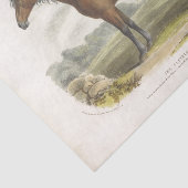 Horse Ephemera Decoupage Cleveland Bay Tissuepapier (Detail)