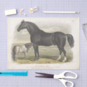 Horse Ephemera Decoupage Clydesdale Tissuepapier (Craft)