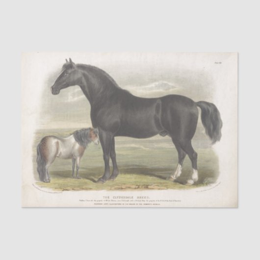Horse Ephemera Decoupage Clydesdale Tissuepapier (Voorkant)