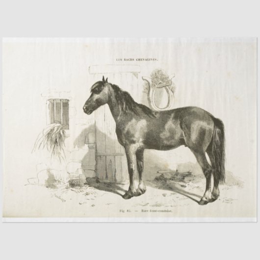 Horse Ephemera Decoupage Frans Stal Tissuepapier (Voorkant)