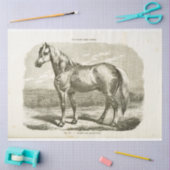 Horse Ephemera Decoupage Frans Tissuepapier (Craft)