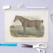 Horse Ephemera Decoupage Old Irish Hunter Tissuepapier (Craft)