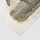Horse Ephemera Decoupage Old Irish Hunter Tissuepapier (Detail)