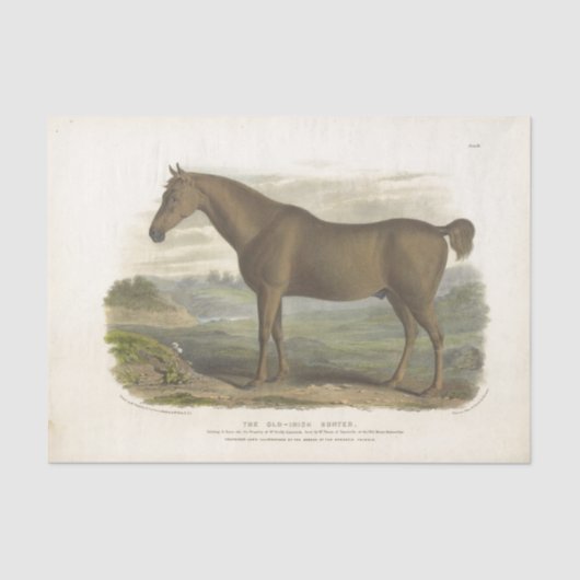 Horse Ephemera Decoupage Old Irish Hunter Tissuepapier (Voorkant)