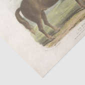 Horse Ephemera Decoupage  Suffolk Tissuepapier (Detail)