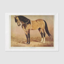 Horse Ephemera Decoupage
