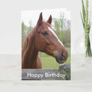Horse Equestrian Hunter Birthday Kaart