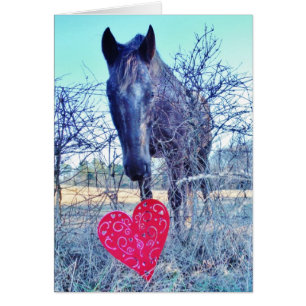Horse et heart