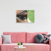 Horse Eye Canvas Afdruk (Insitu (Woonkamer))