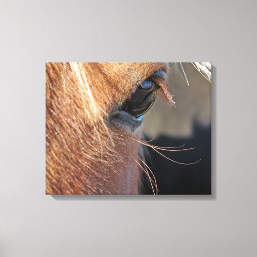 Horse Eye Canvas Afdruk (Voorkant)