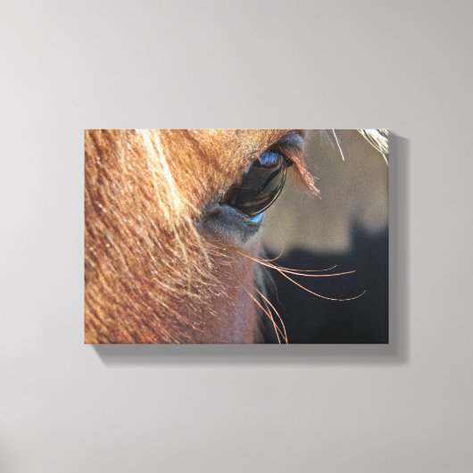 Horse Eye Canvas Afdruk (Voorkant)