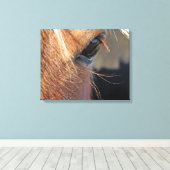 Horse Eye Canvas Afdruk (Insitu (Houten vloer))