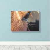 Horse Eye Canvas Afdruk (Insitu (Houten vloer))
