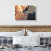 Horse Eye Canvas Afdruk (Insitu (Slaapkamer))