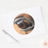 Horse Eye Ronde Sticker (Envelop)