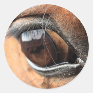 Horse Eye Ronde Sticker