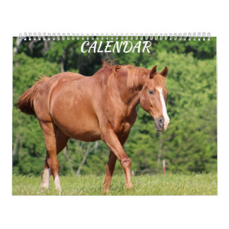 Horse Farm Bright Animé Coloré Calendrier
