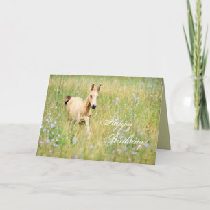 Horse Foal Birthday Kaart