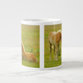 Horse Foals Jumbo Mok (Voorkant)