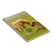 Horse Foals Notitieboek (Rechterzijde)