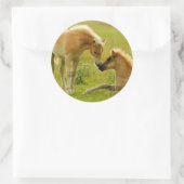 Horse Foals Ronde Sticker (Tas)