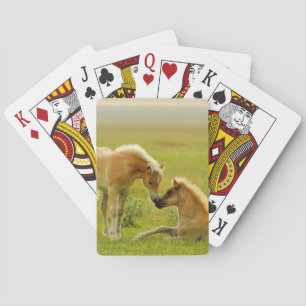 Horse Foals Speelkaarten