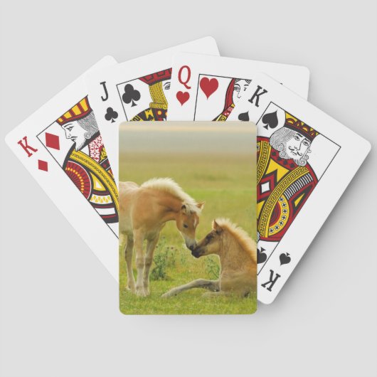 Horse Foals Speelkaarten (Achterkant)