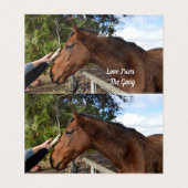 Horse Friend Forever, Carte Anniversaire (Inside Unfolded)