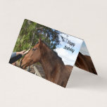 Horse Friend Forever, Carte Anniversaire<br><div class="desc">Photographié recevoir une douce pat est un beau cheval brun</div>