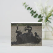 HORSE FROLICKING BRIEFKAART (Staand voorkant)